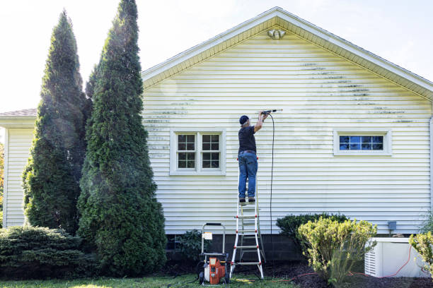 Best Roof Pressure Washing  in Hazelwood, MO